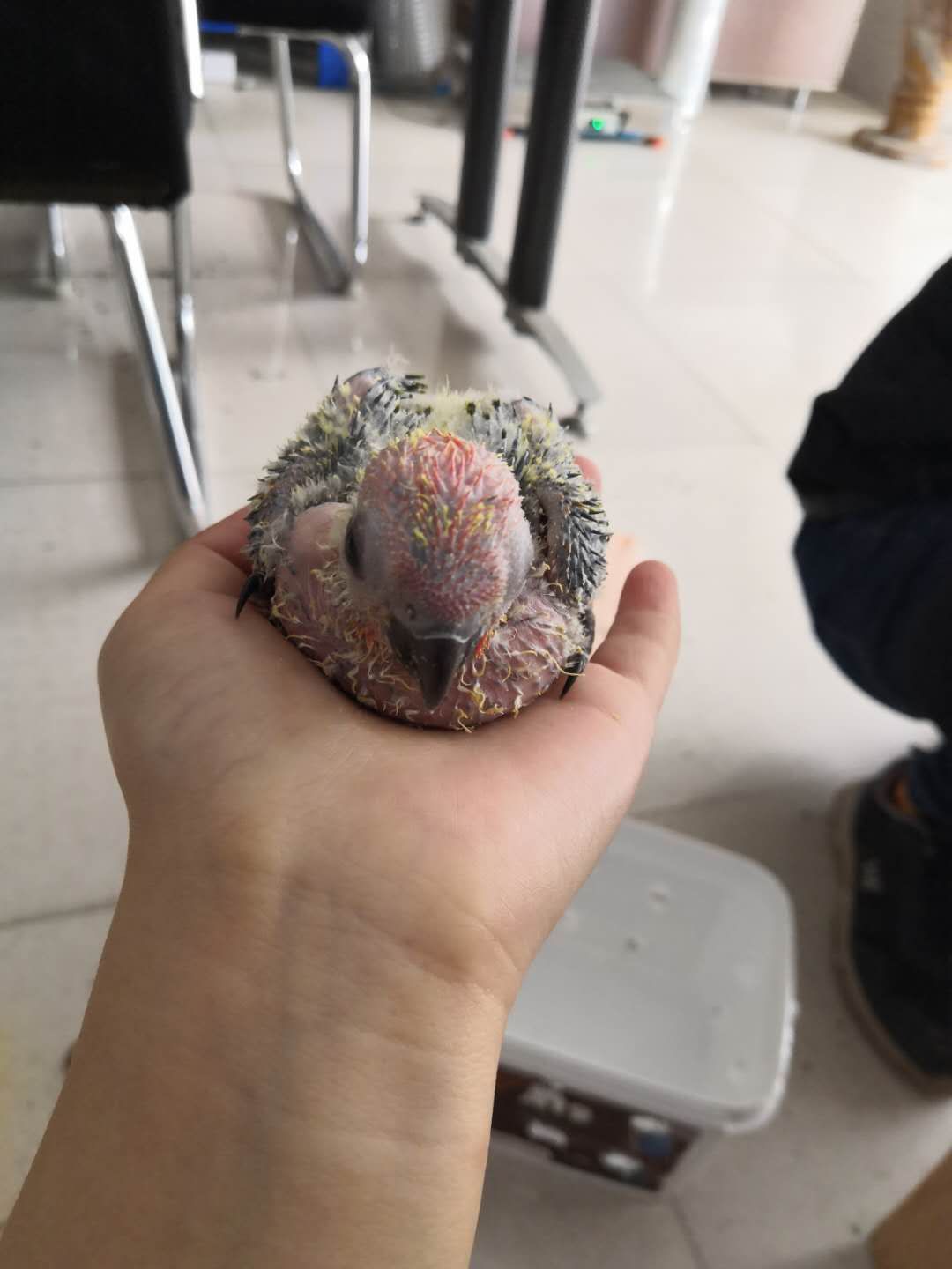 ee8bb0b307e78c6e3d9591578977f11